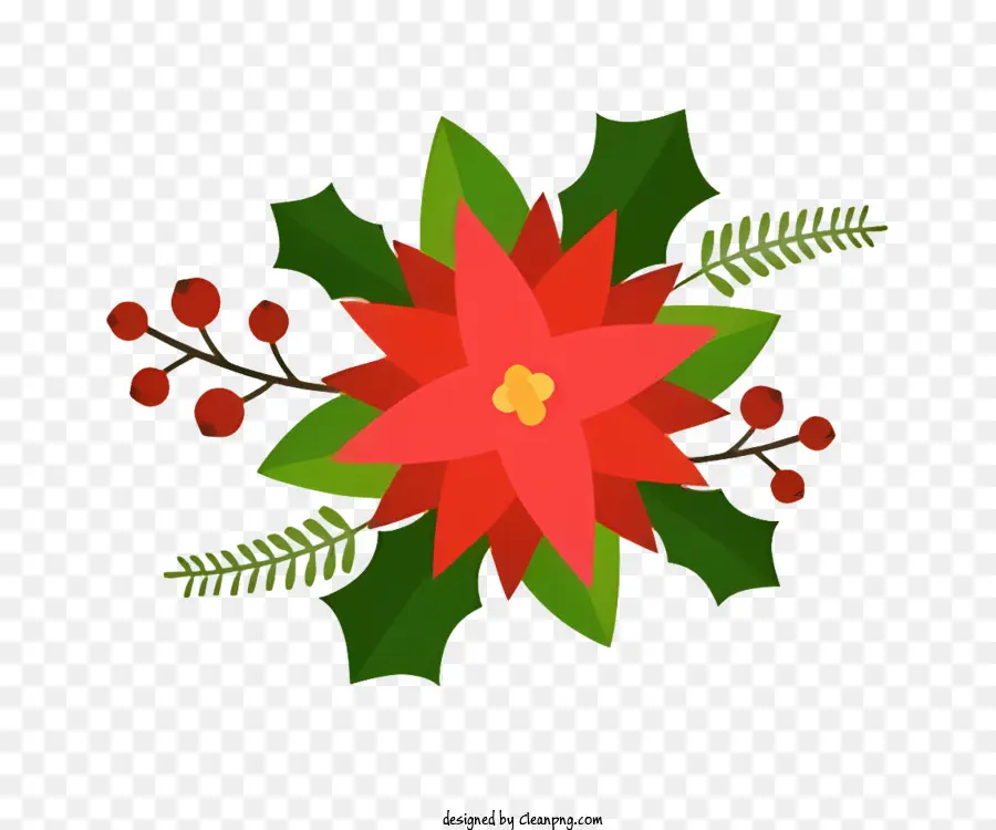 Poinsettia çiçek，Kırmızı Poinsettia PNG