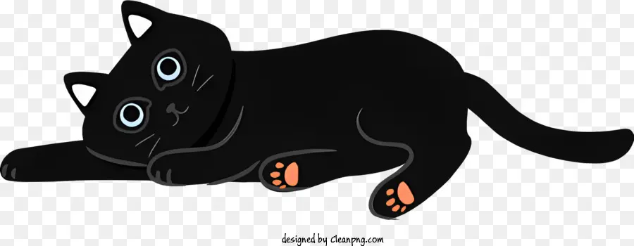Siyah Kedi，Geri Dönüş PNG