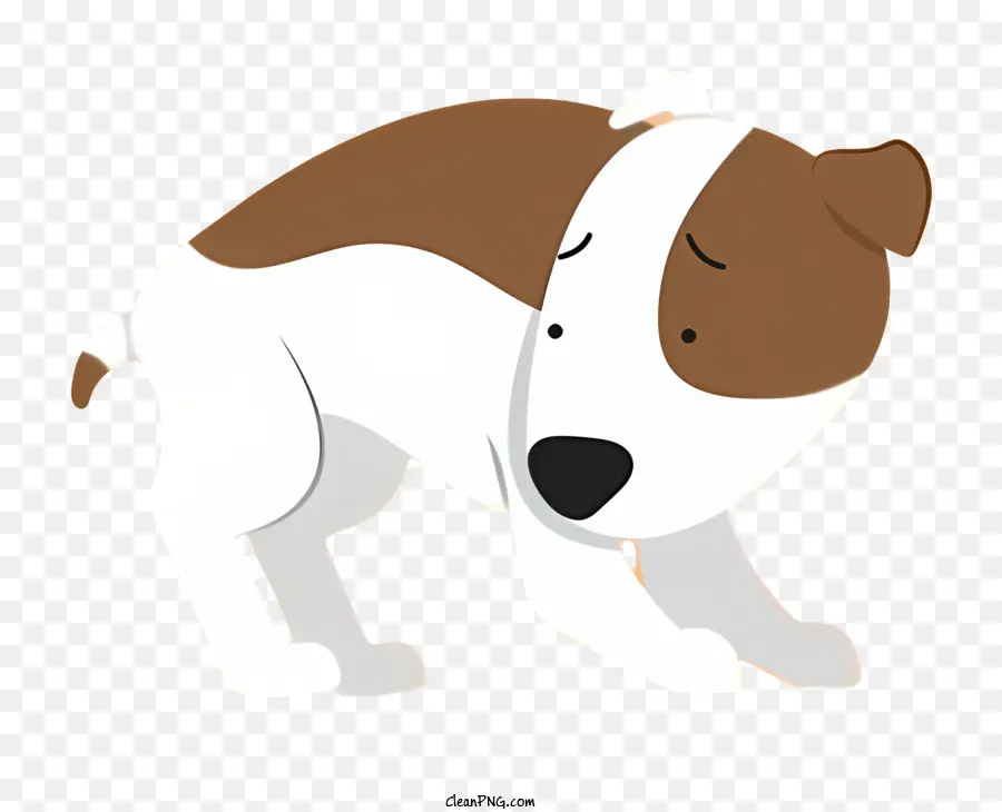Kahverengi Ve Beyaz Köpek，Sarkık Kulaklar PNG