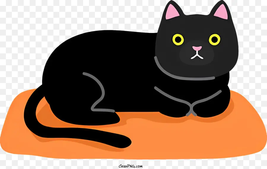 Siyah Kedi，Turuncu Yastık PNG