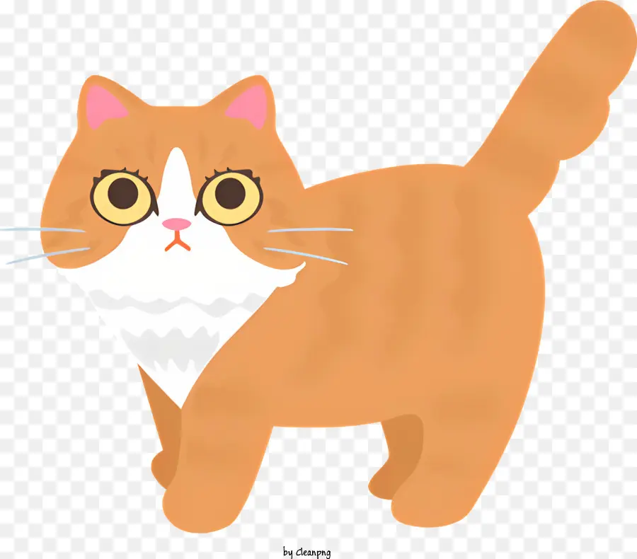 Küçük Turuncu Kedi，Kedi PNG