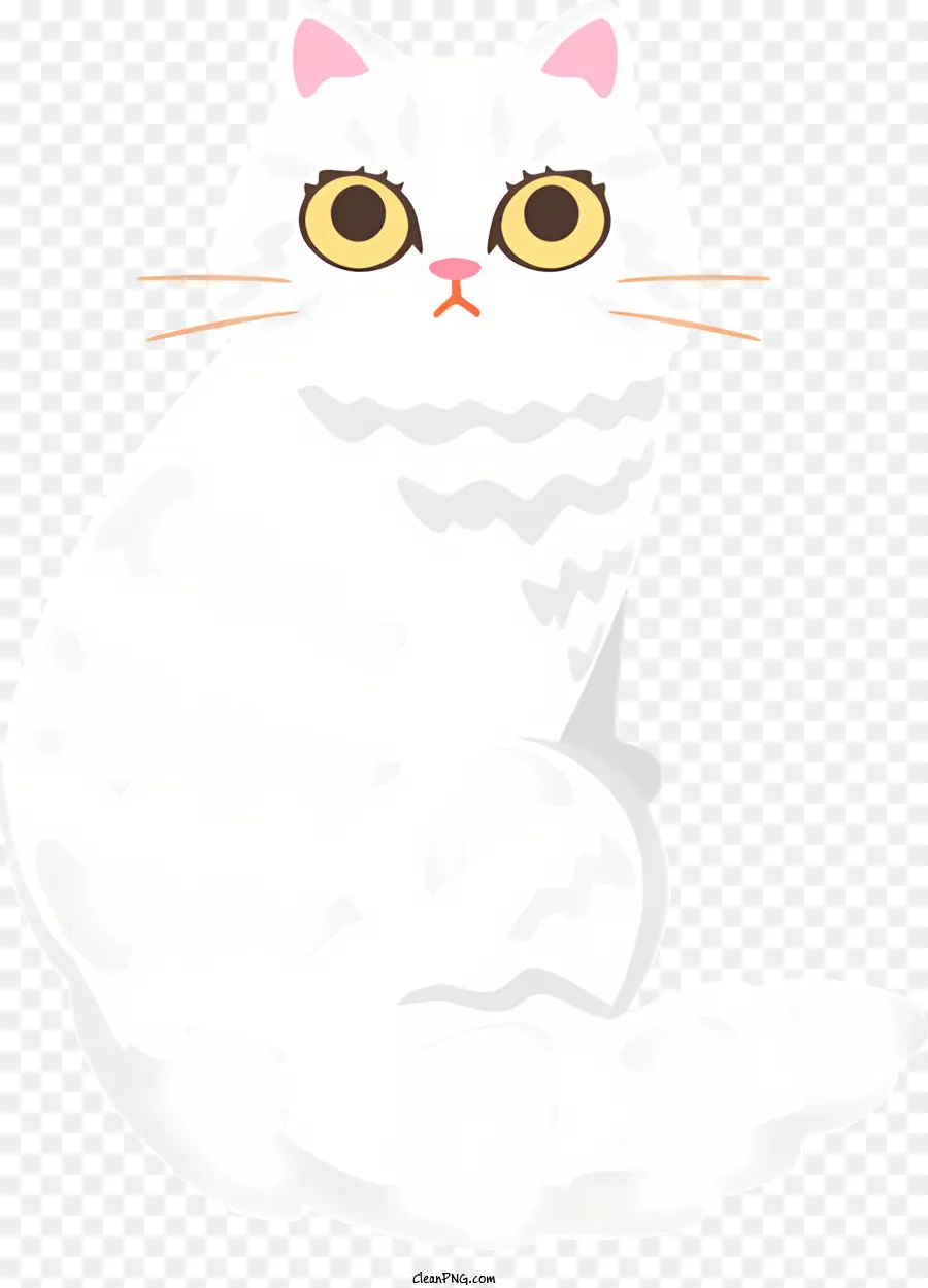 Beyaz Kedi，Kedi PNG