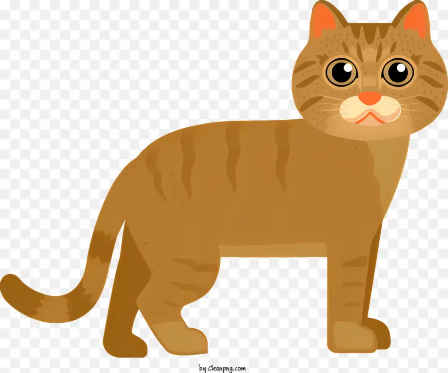 Kahverengi Kedi，Büyük Gözler PNG