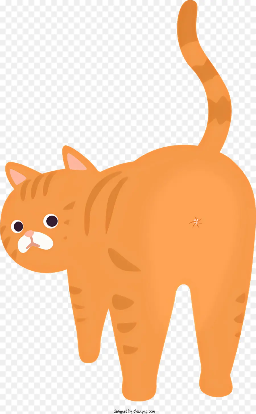 Turuncu Kedi，Kedi PNG