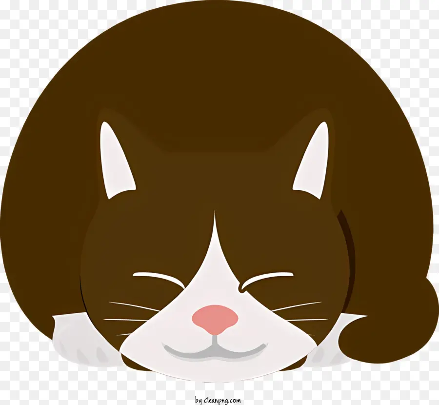 Kedi，Uyuyan Kedi PNG