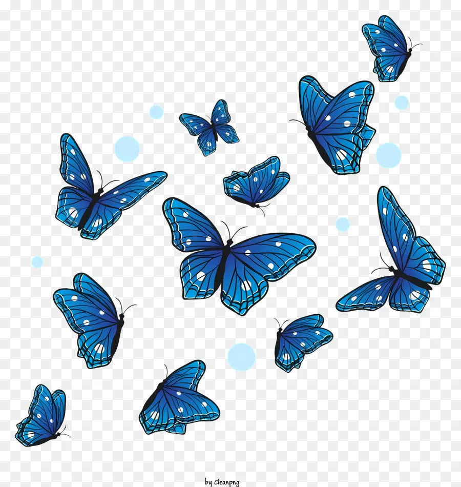 Mavi Kelebekler，Kelebekler Grubu PNG