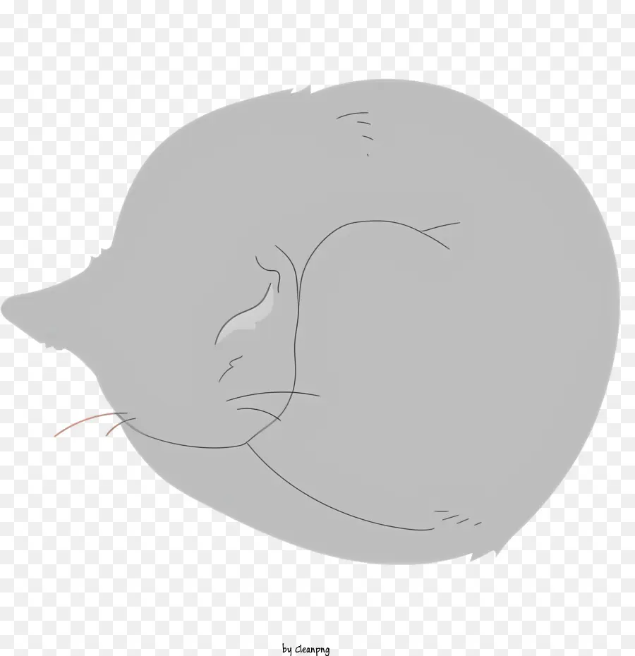 Kedi Uyku，Gri Kedi PNG