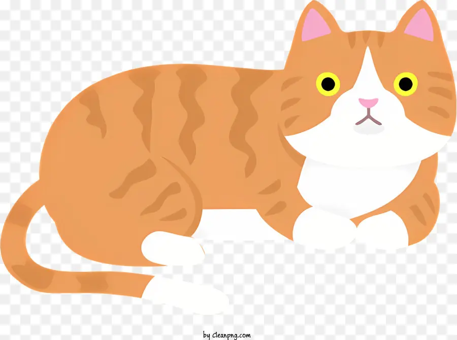 Kedi，Yavru Kedi PNG