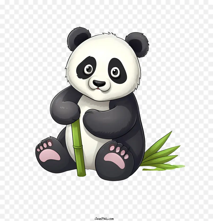 Sevimli Panda，Panda PNG