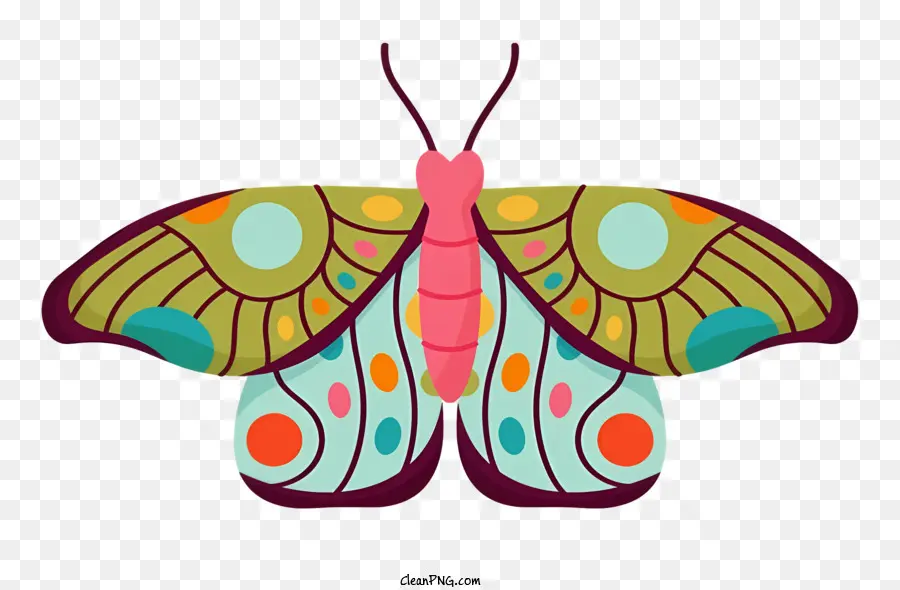 Kelebek，Canlı Renkler PNG