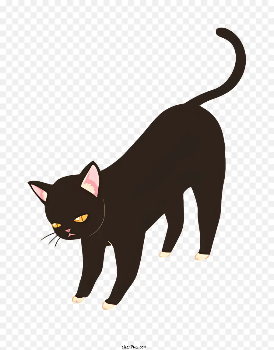 Kedi，Kara Kedi PNG