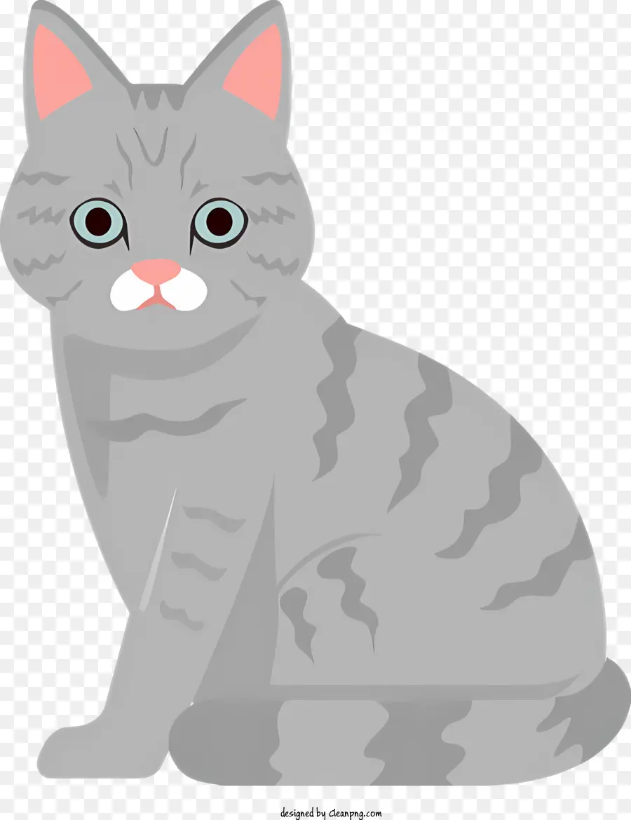 Gri Kedi，Kedi PNG