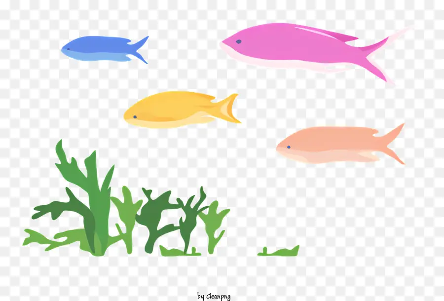 Balık，Renkli Balık PNG
