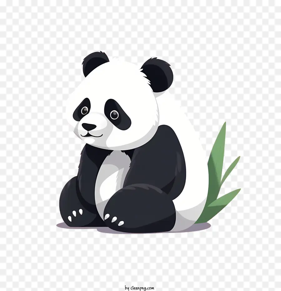 Sevimli Panda，Panda PNG