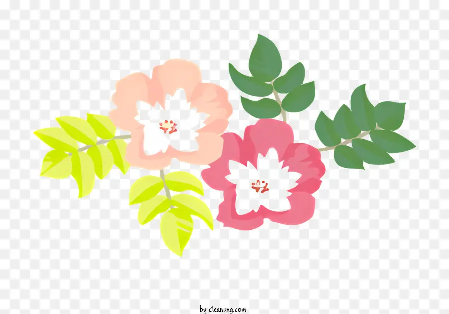 Siyah Ve Beyaz çiçekler，Pembe Ve Yeşil Çiçekler PNG