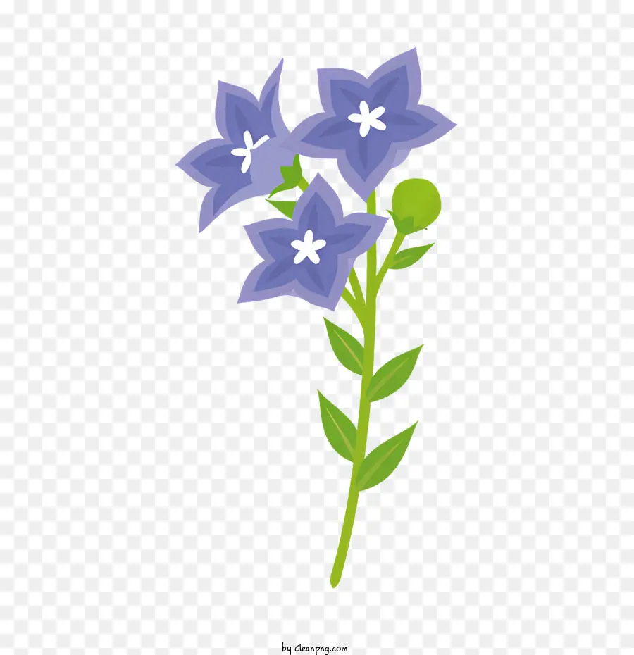 Mavi çiçek，Beyaz çiçekler PNG