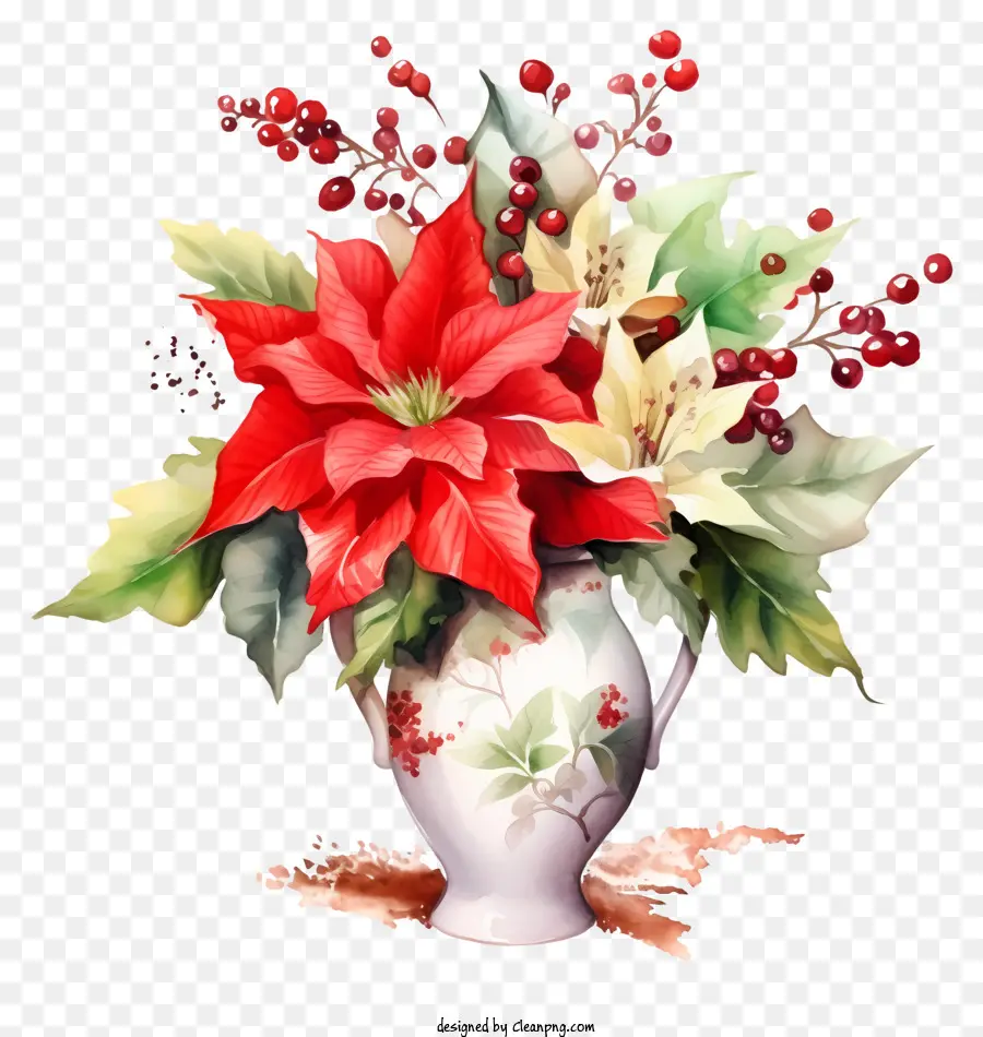 Poinsettias，Kırmızı Ve Beyaz Çiçekler PNG