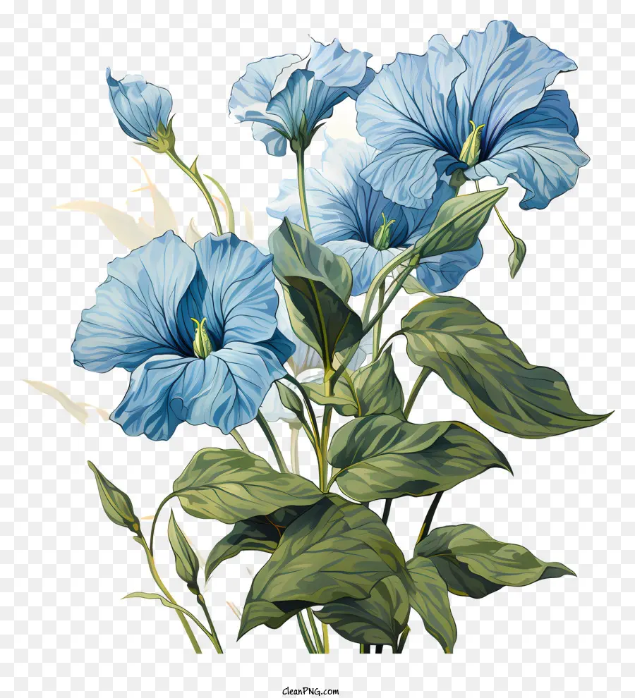 Mavi çiçekler，Stilize Çiçekler PNG