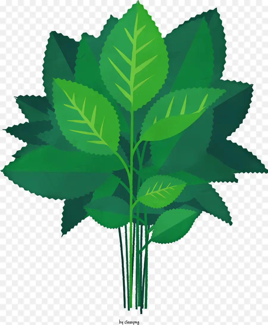 Karikatür，Yeşil Yapraklı Bitki PNG