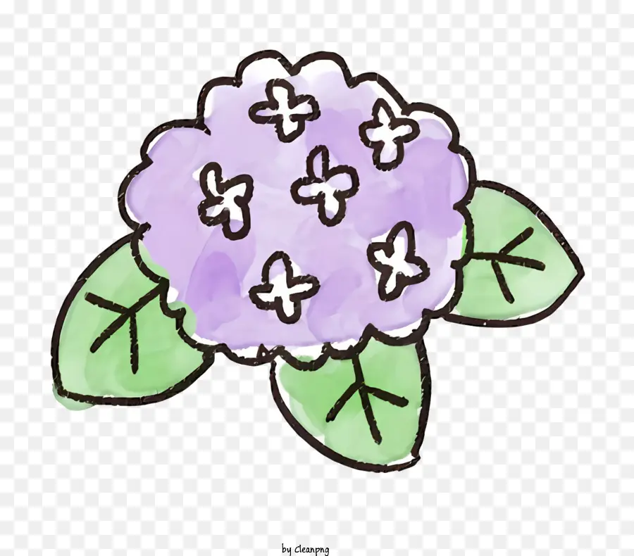 Karikatür，Mor Ortanca çiçeği PNG