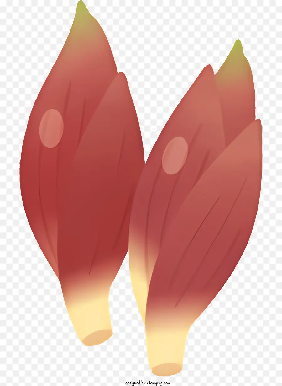 Karikatür，Kırmızı çiçekler PNG
