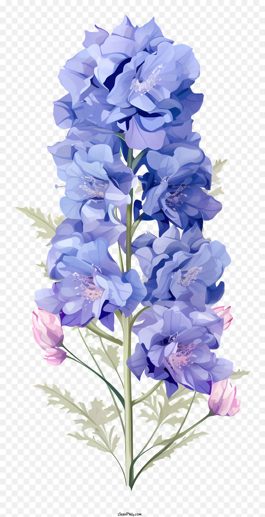 Pastel Delphinium çiçeği，Suluboya Resim PNG