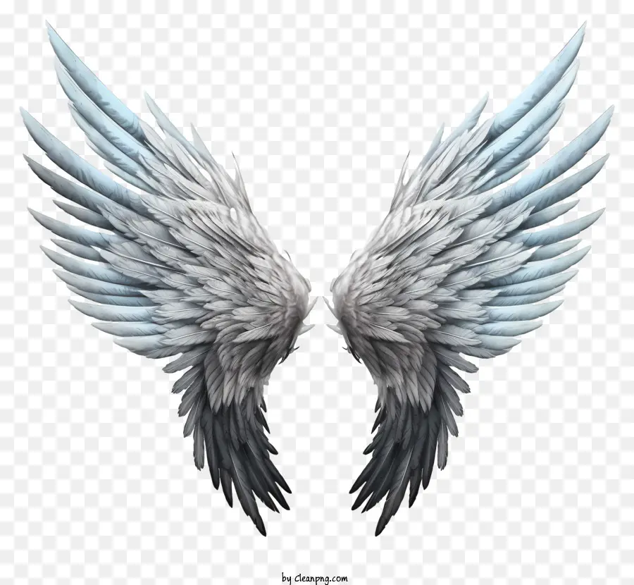 Eskiz Angel Wings，Melek Kanatları PNG