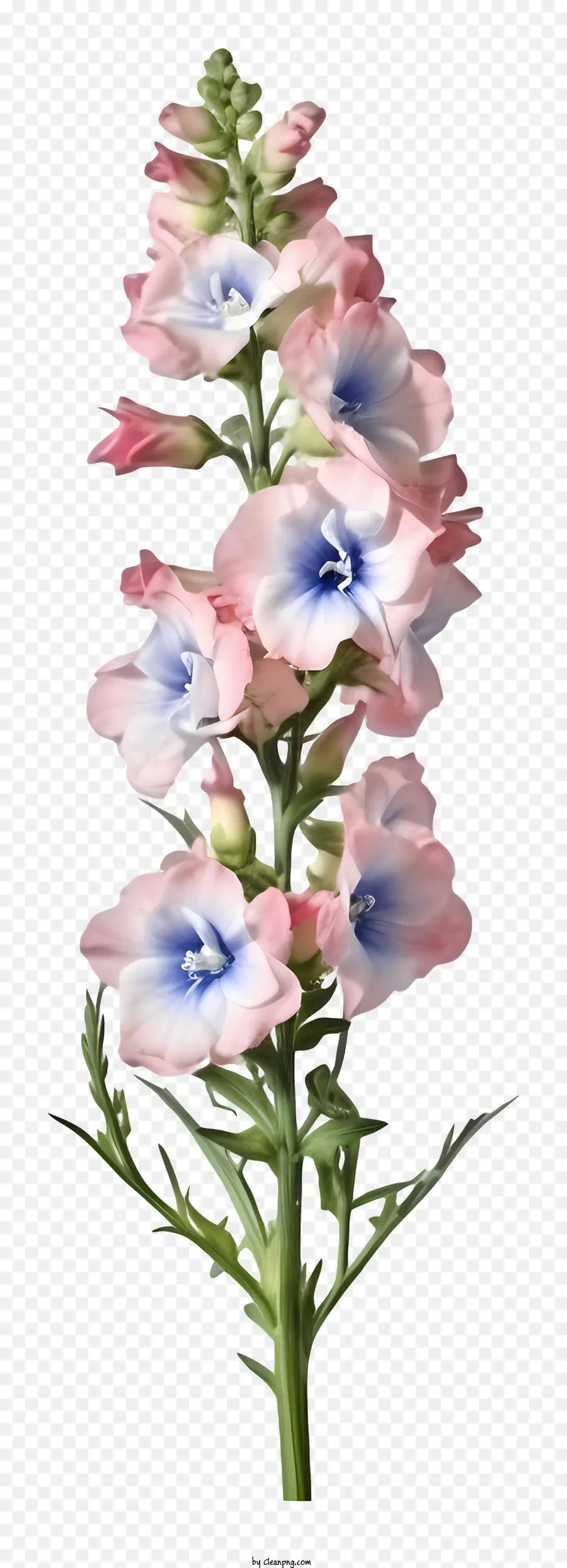 Gerçekçi 3d Delphinium çiçeği，çiçek PNG