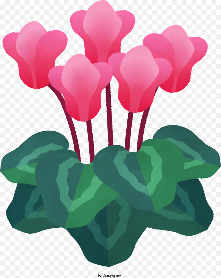 Karikatür，Pembe çiçekler PNG