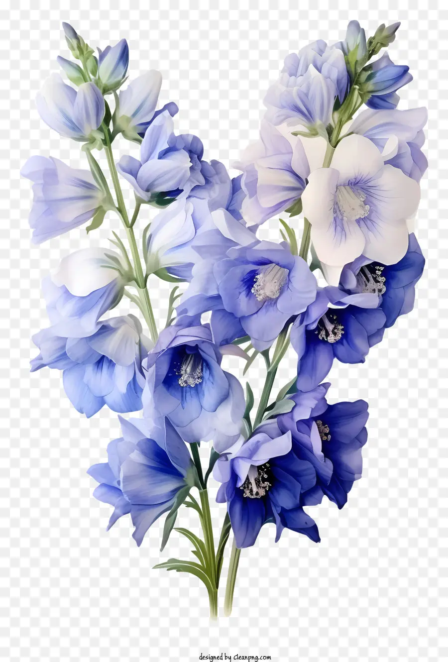 özel Delphinium çiçek Grubu，Mavi çiçek PNG