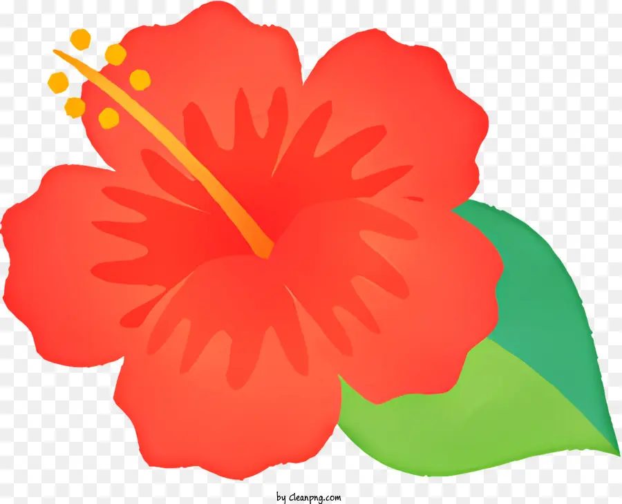 Karikatür，Kırmızı Hibiscus çiçeği PNG