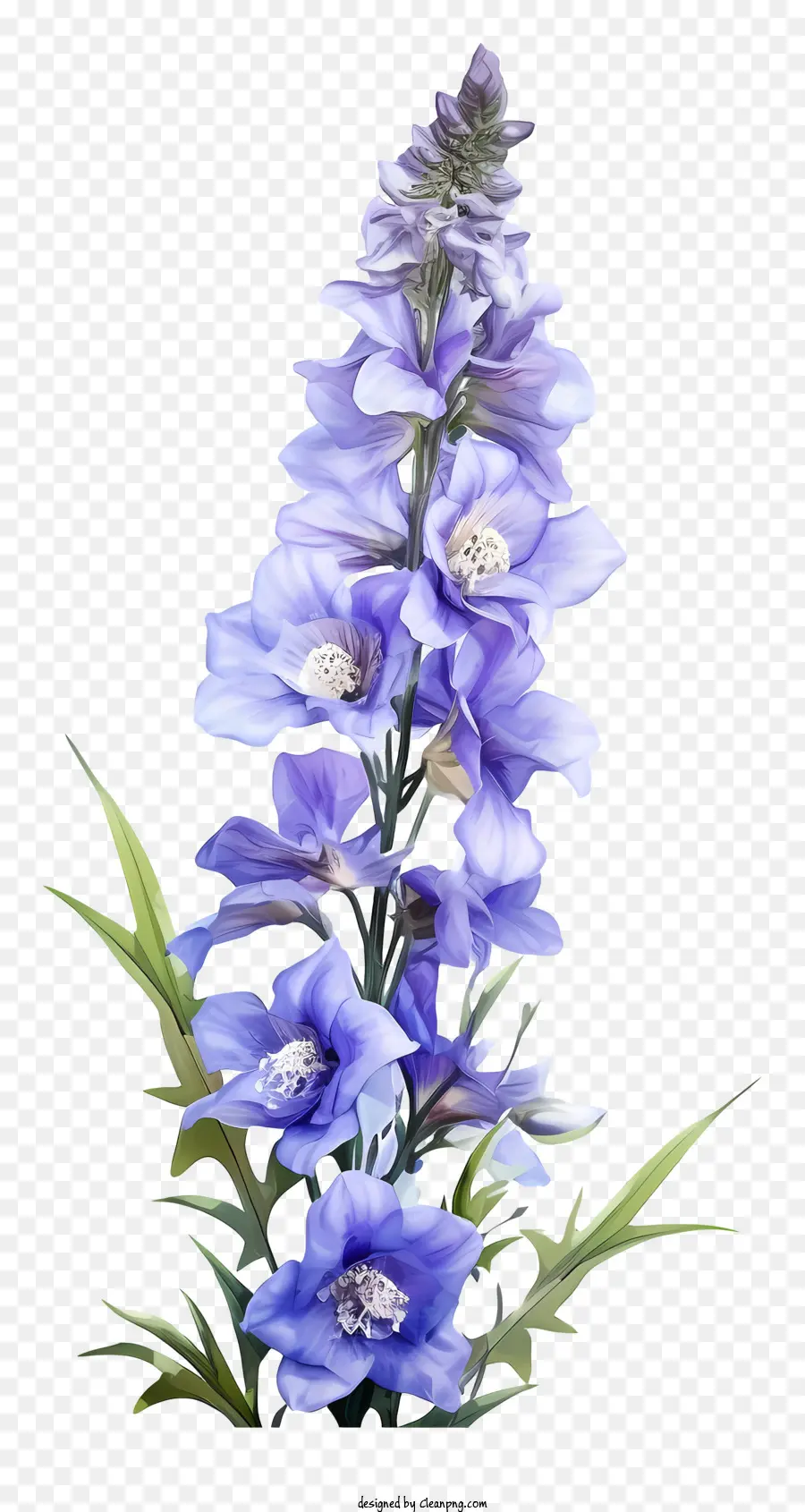 Doodle Delphinium çiçeği，Mavi çiçek PNG