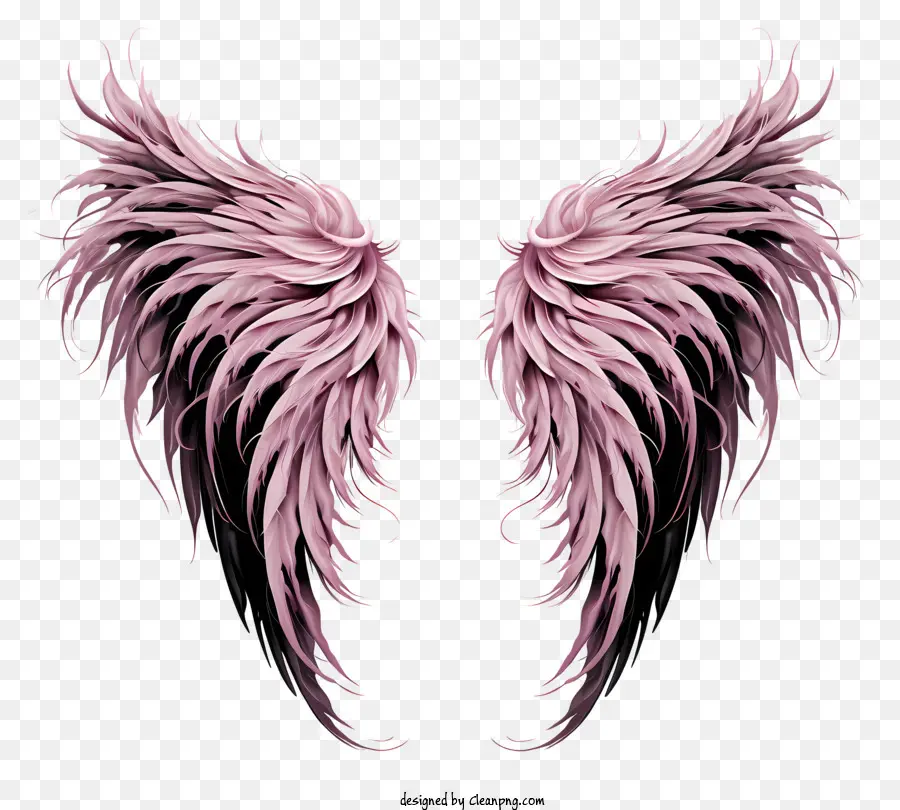 Eskiz Angel Wings，Pembe Tüy Melek Kanatları PNG