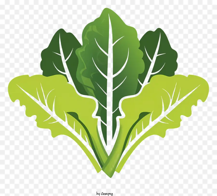 Karikatür，Yapraklı Yeşil Bitki PNG