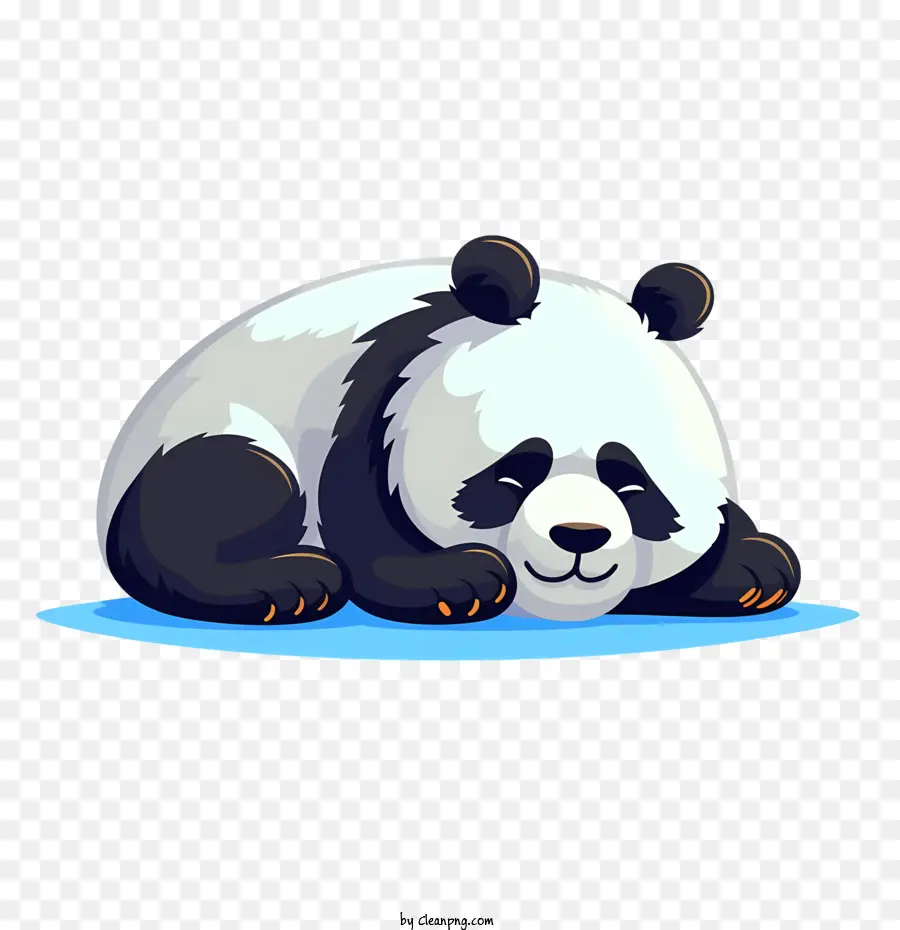 Sevimli Panda，Panda PNG