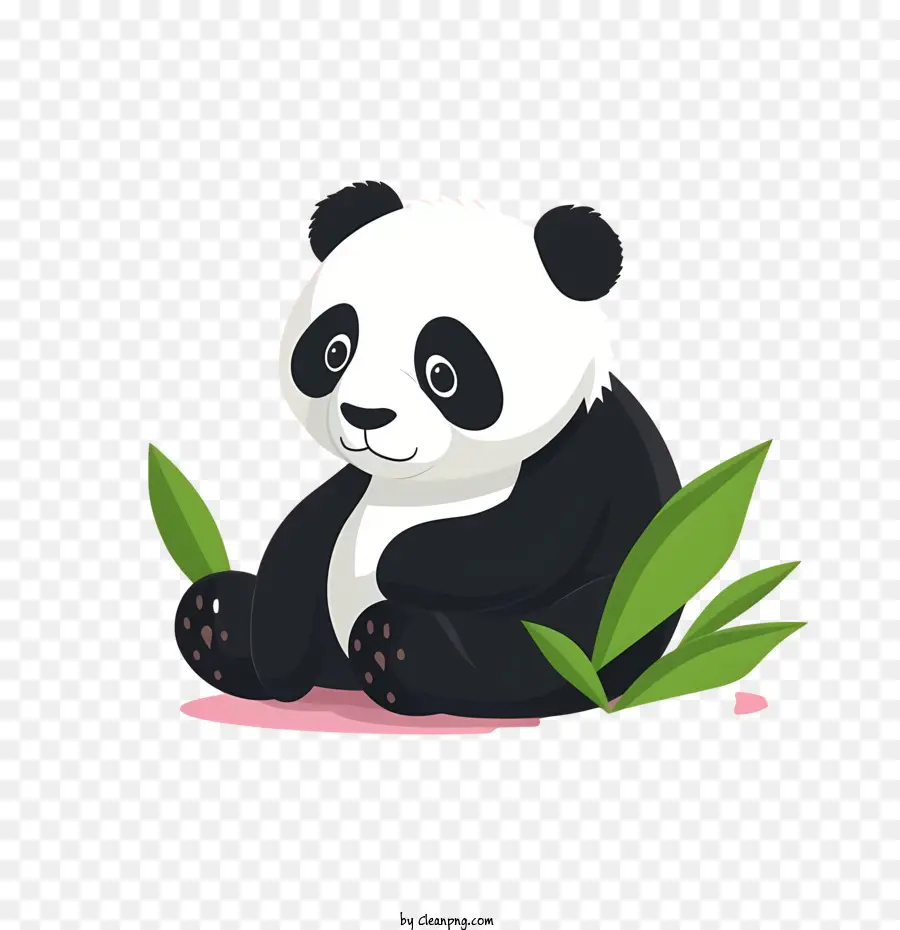 Sevimli Panda，Panda PNG