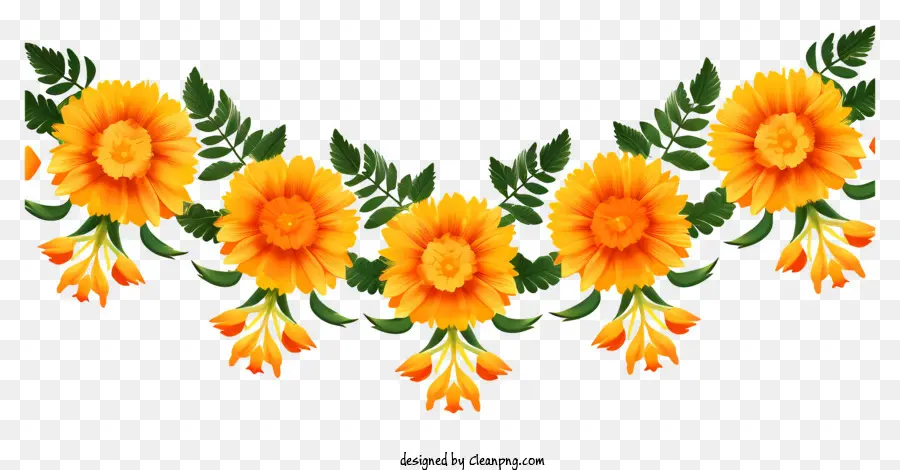 Düz Marigold Çiçek Çelenk，Marigold Buket PNG