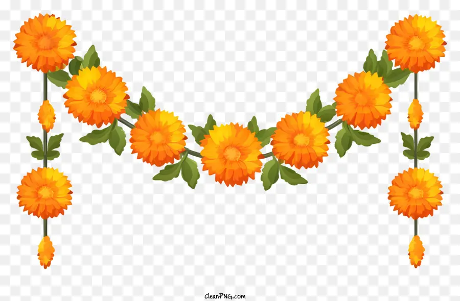 Karikatür Marigold Çiçek Çelenk，Turuncu çiçekler PNG