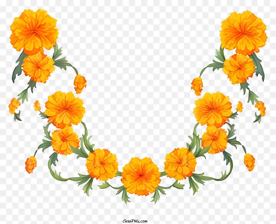 Marigold Çiçek Çelenk，Portakallar PNG