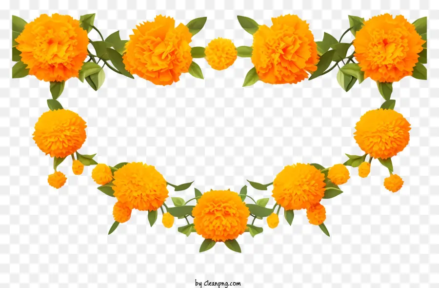 Marigold Çiçek Çelenk，Portakallar PNG