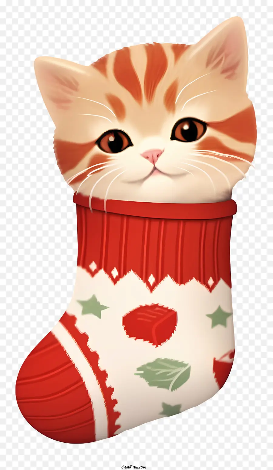 Noel çoraplı 3d Kedi，Çoraplı Kedi PNG