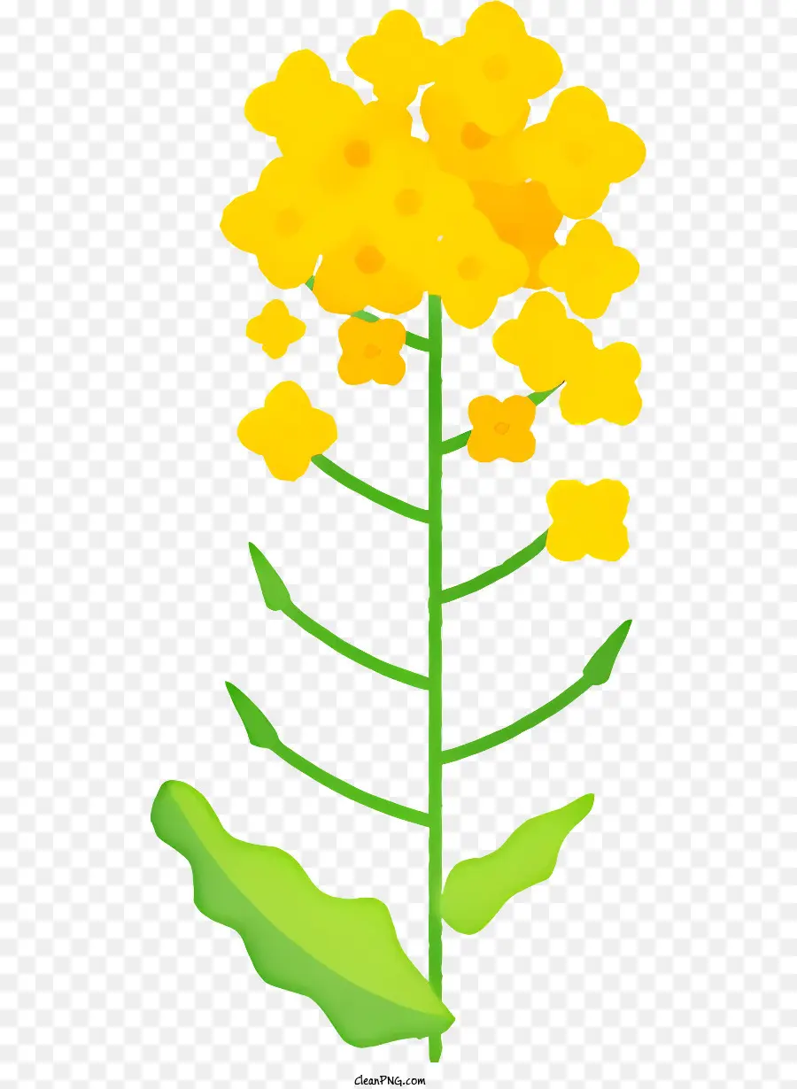 Karikatür，Sarı çiçeklerle Bitki PNG
