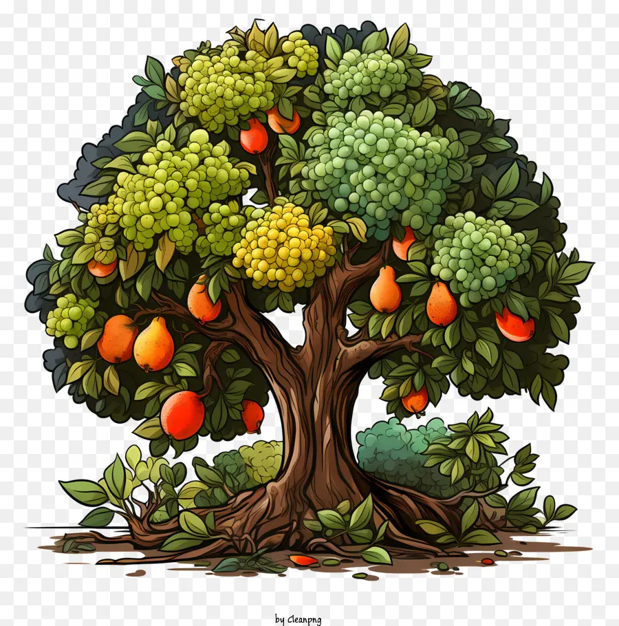 Meyve Ağacı，Ağaç PNG