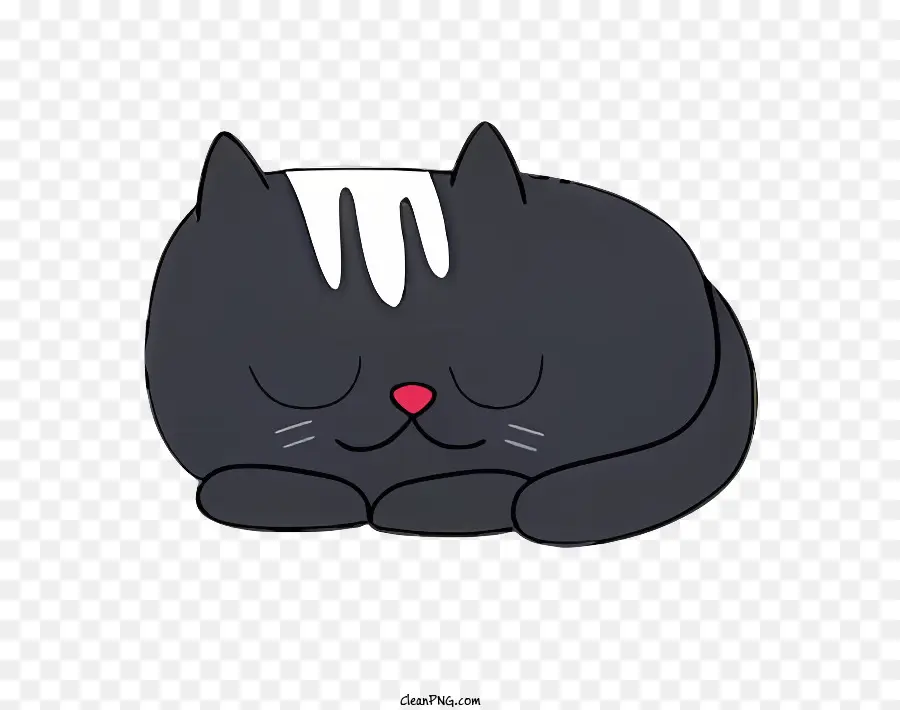 Kara Kedi，Uyuyan Kedi PNG