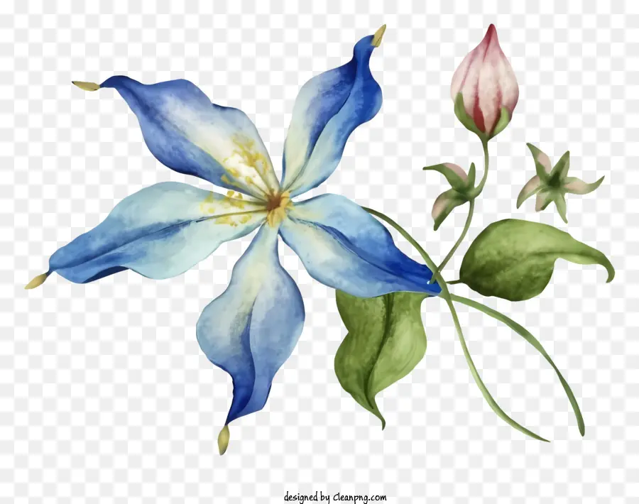 Karikatür，Mavi çiçek PNG