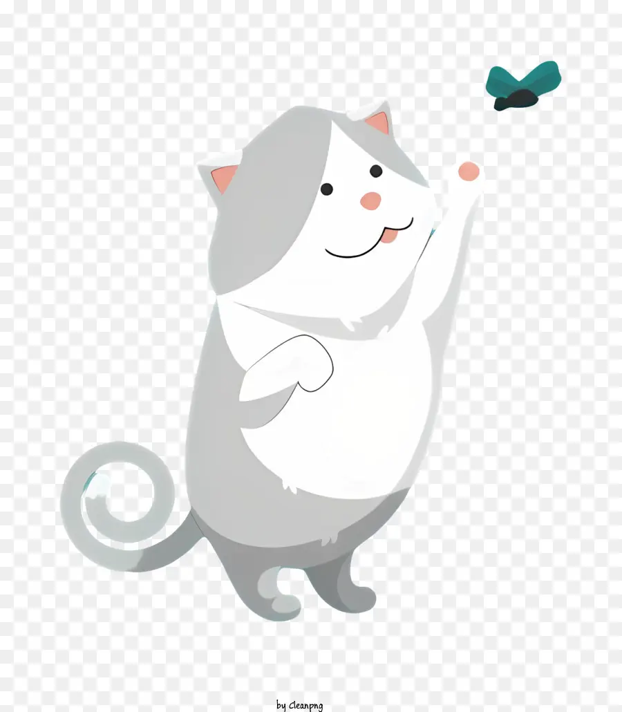 Siyah Kedi，Kedi PNG