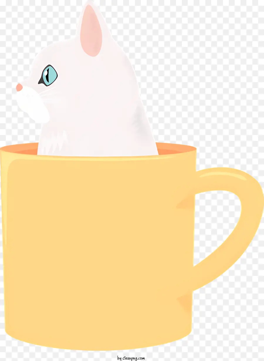 Kupa Kedi，Beyaz Kedi PNG