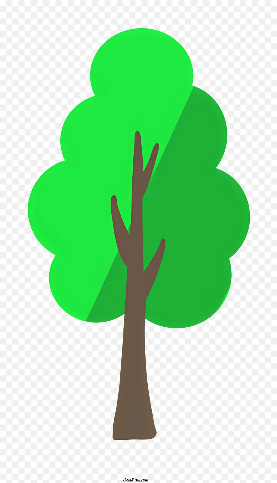 Ağaç，Yeşil Ağaç PNG