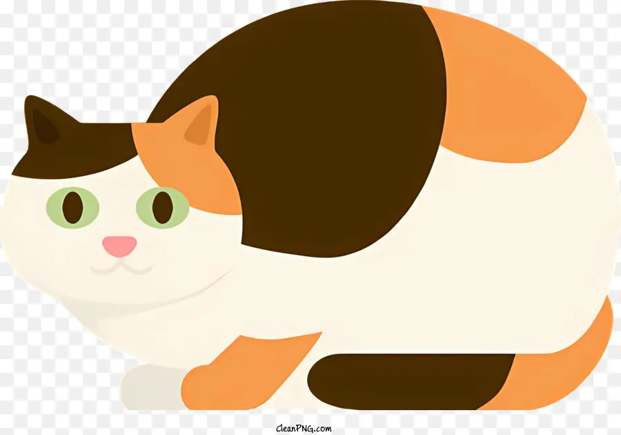 Simge，Kedi PNG