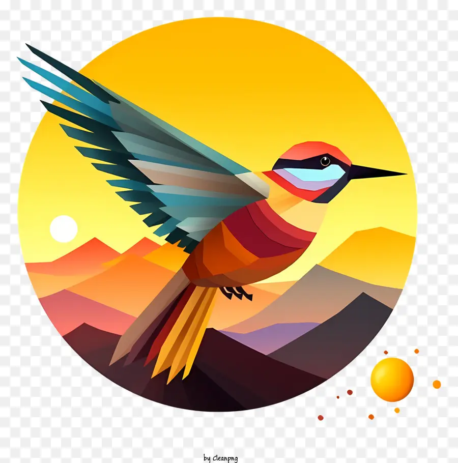 Düz Kuş，Renkli Kuş PNG